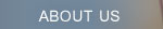 ABOUT US BUTTON